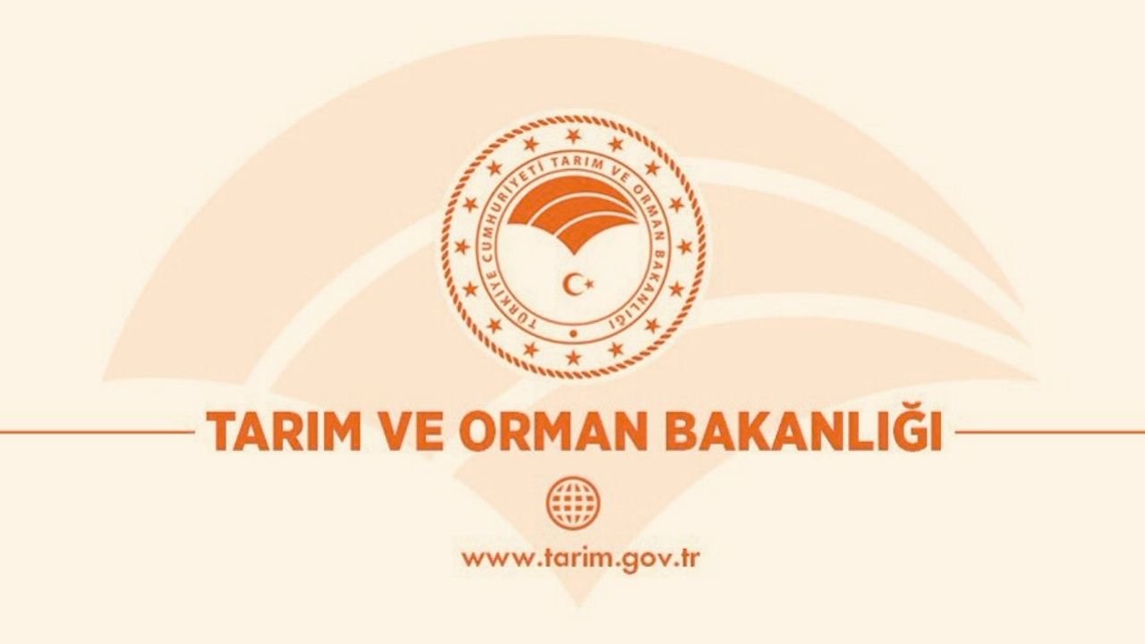 (TOB) TARIM VE ORMAN BAKANLIĞI toplamda 7.158 PERSONEL ALIMI olacağını duyurdu! Peki alım ne zaman ve gerekli şartlar neler?