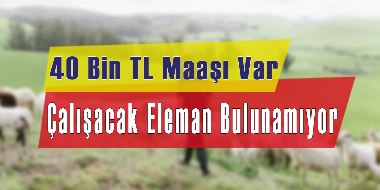 40 Bin TL Maaşı Var Fakat Çalışacak Eleman Bulunamıyor